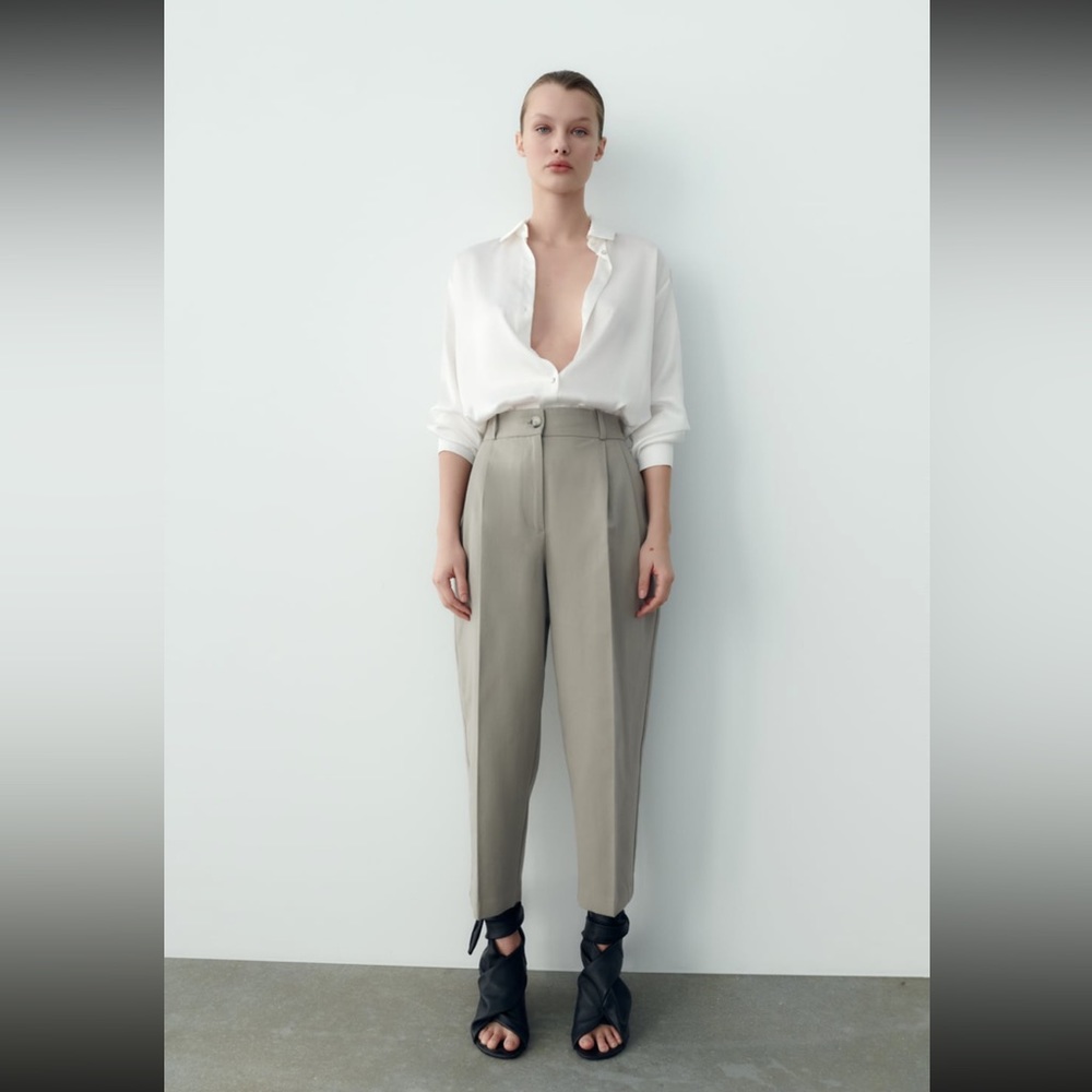 Pleated Zara Pants